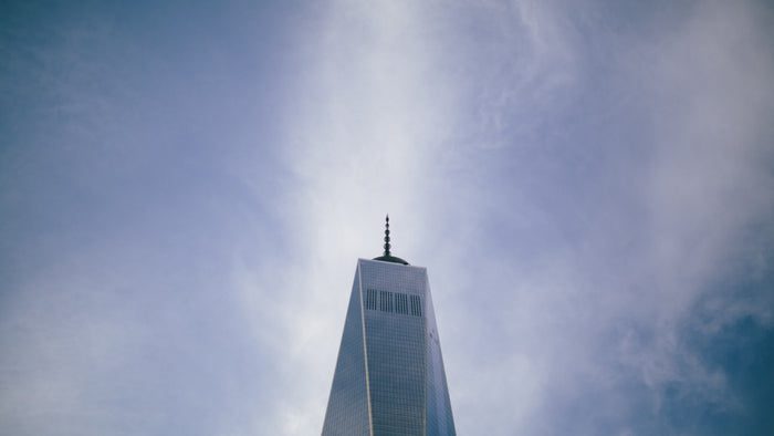 Lager Lessons: What Beer Can Teach You About Business